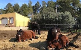 Cal Murenu Rural